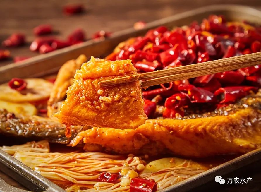 淡水魚價格持續(xù)上漲，深加工鮰魚產(chǎn)品優(yōu)勢明顯
